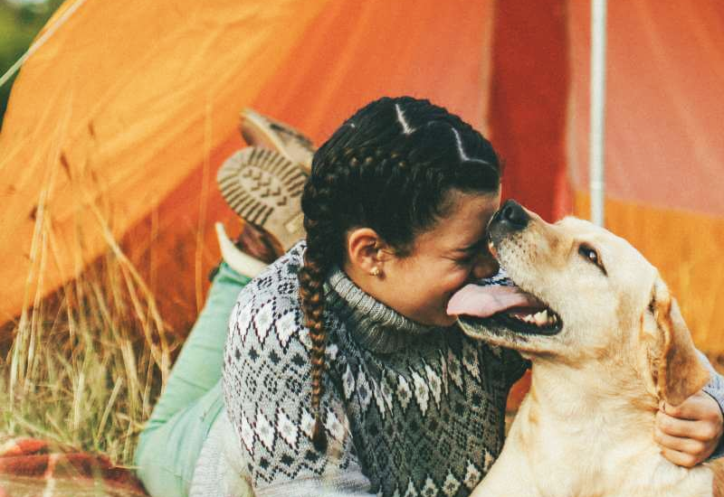 Campeggi Pet Friendly in Italia: una guida completa per i proprietari di animali domestici